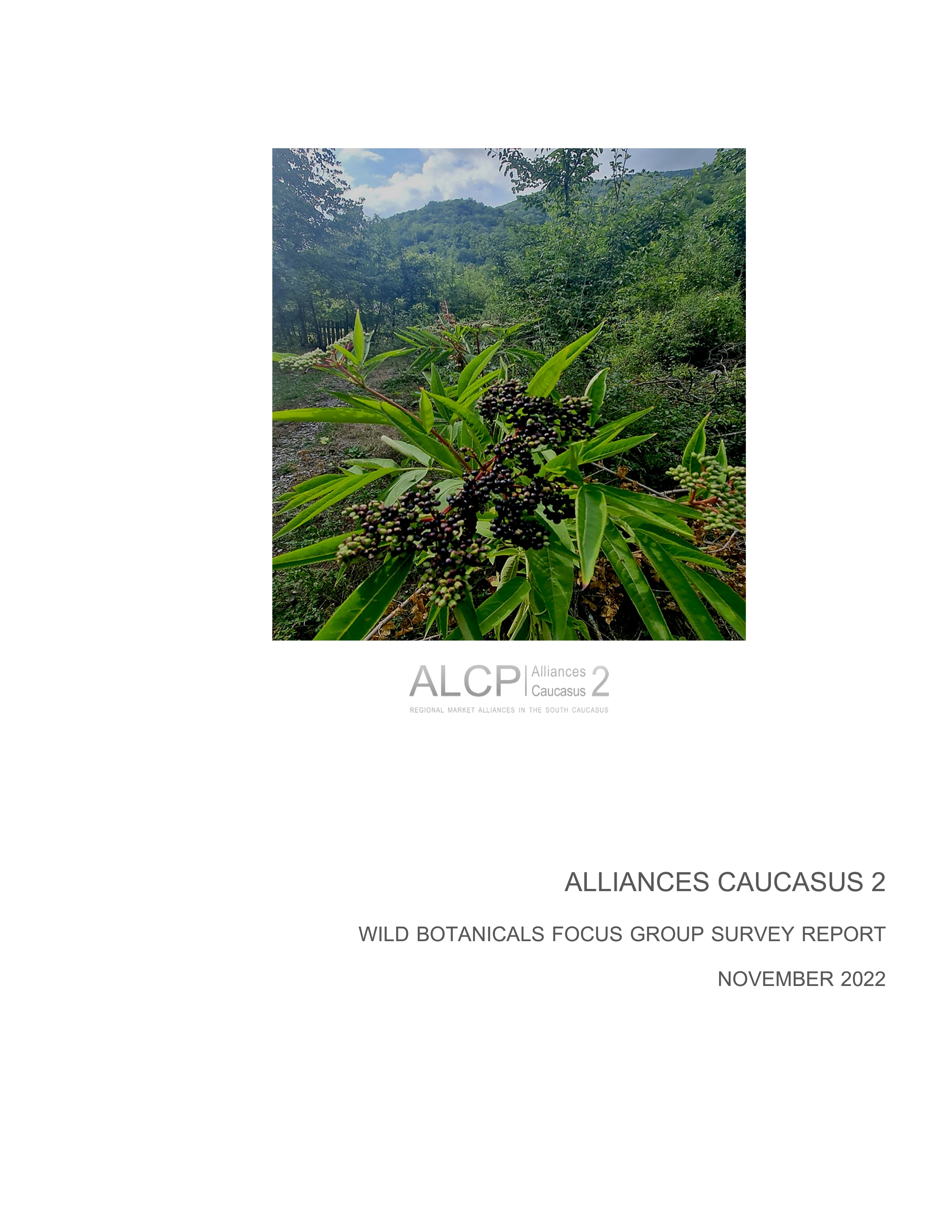 WILD BOTANICALS FOCUS GROUP SURVEY REPORT NOVEMBER 2022